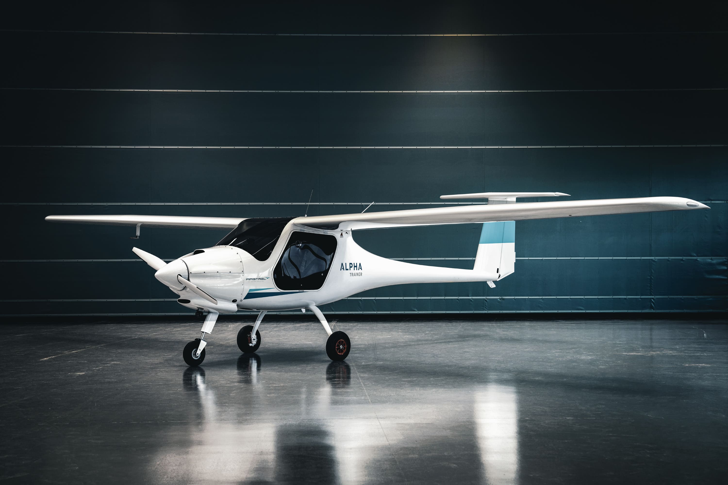 ALPHA TRAINER - Esterno